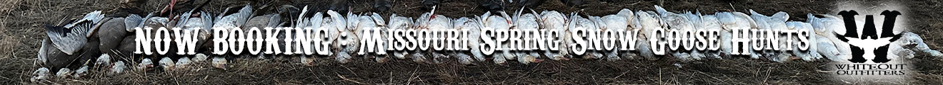 Whiteout Outfitters Missouri Spring Snow Goose Hunts
