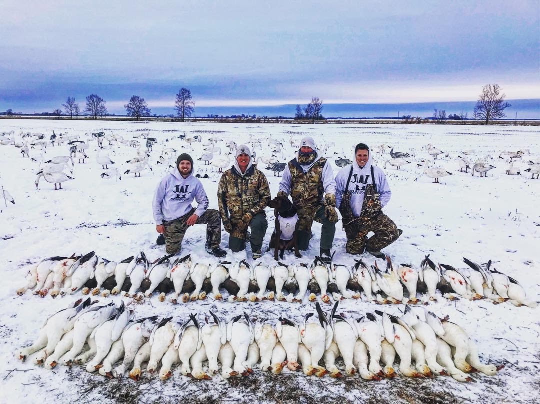 Whiteout Outfitters Spring Snow Goose Hunts