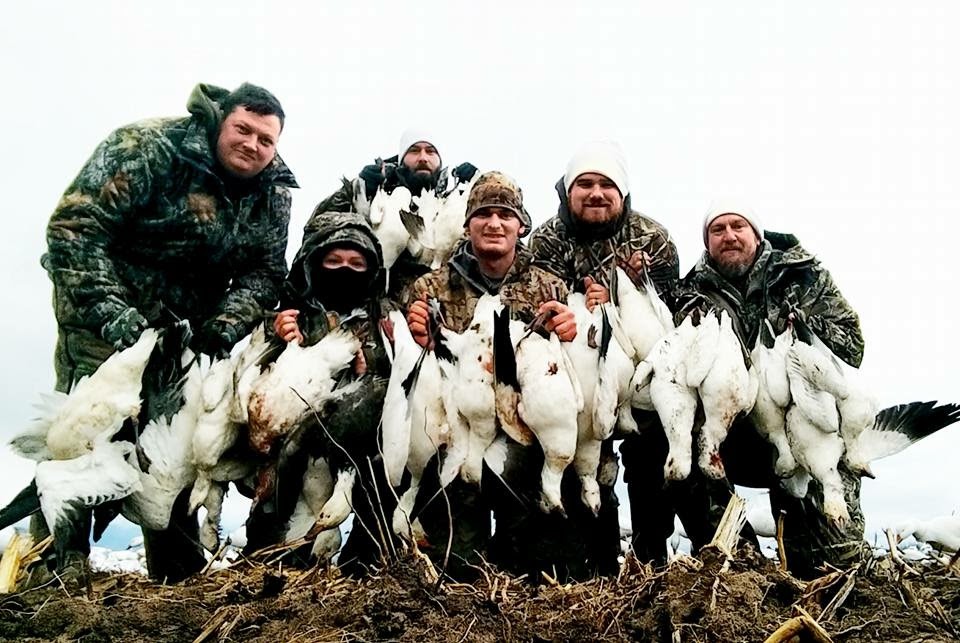 Whiteout Outfitters Spring Snow Goose Hunts