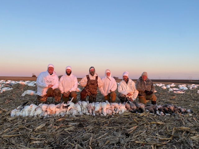 Whiteout Outfitters Spring Snow Goose Hunts