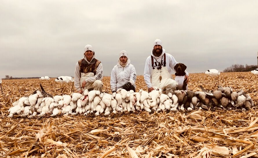 Whiteout Outfitters Spring Snow Goose Hunts