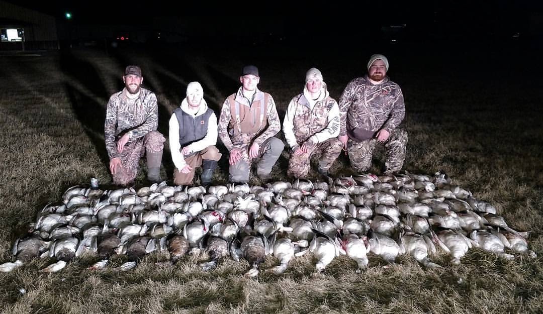 Whiteout Outfitters Spring Snow Goose Hunts